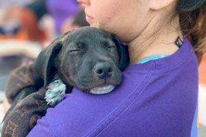 A woman holds a black puppy dog after adopting it from the local animal welfare centre