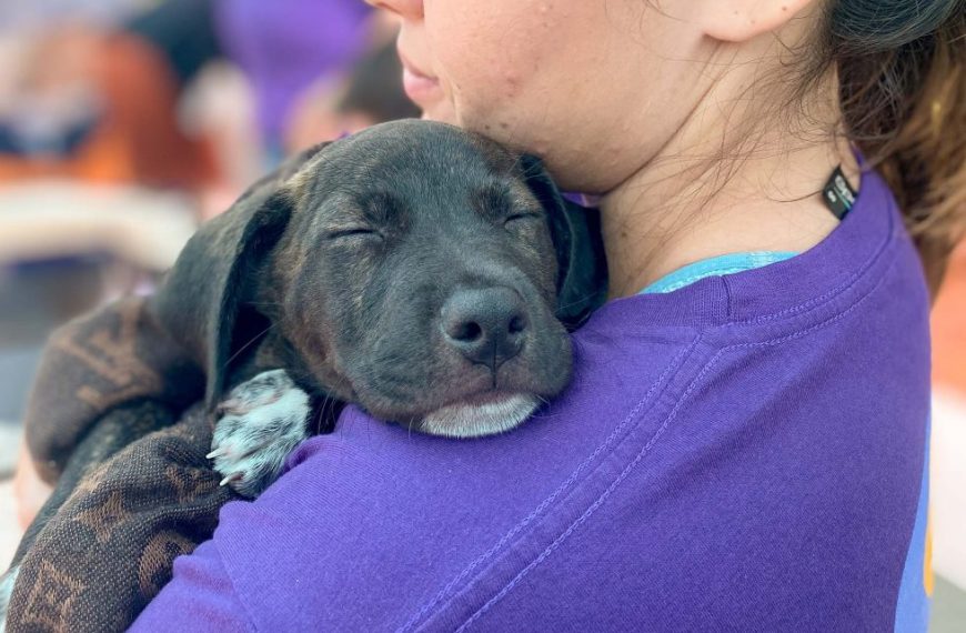 A woman holds a black puppy dog after adopting it from the local animal welfare centre