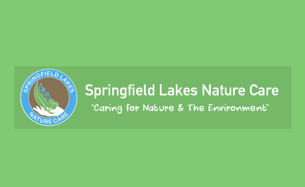 Here are some of the citizen science activities Springfield Lakes Nature Care is running for the month of November.